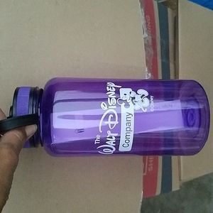 Disney water bottle